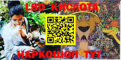 прущие грибы Лесосибирск