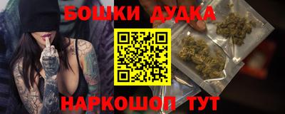 прущие грибы Лесосибирск