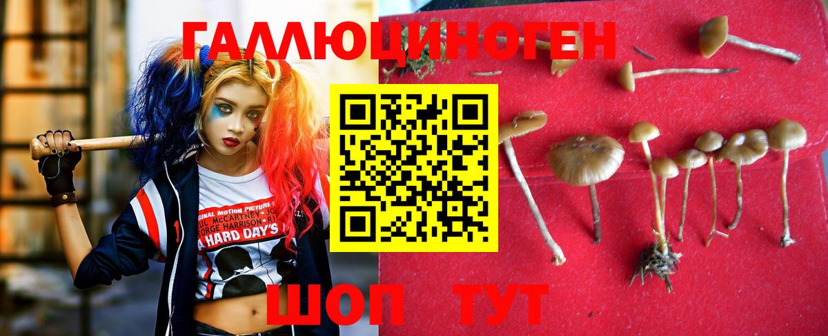 Галлюциногенные грибы прущие грибы  Вход с VPN  купить наркоту  Южно-Сахалинск 